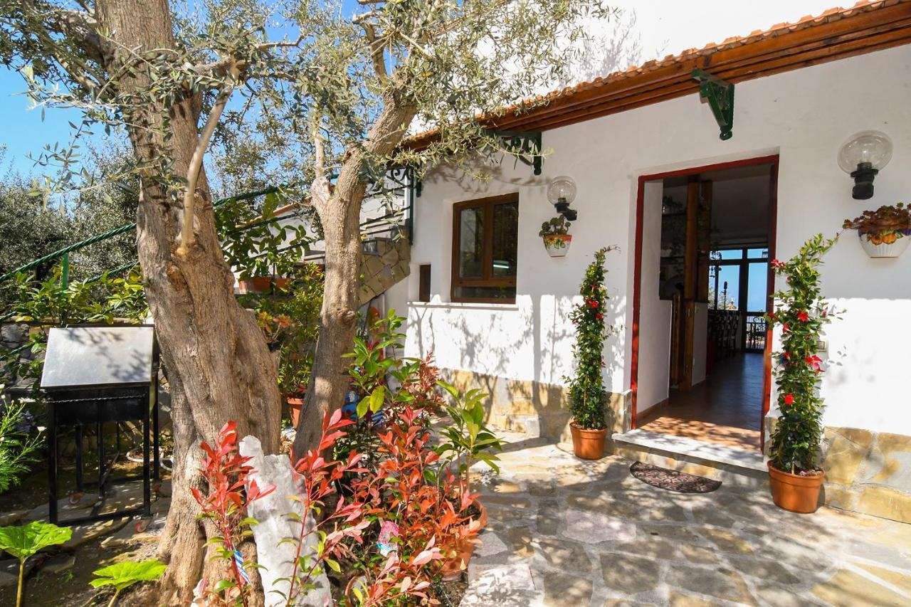 Amore Rentals - Casa Tatano Marciano Екстериор снимка