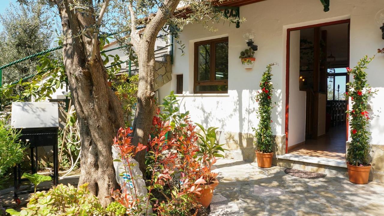 Amore Rentals - Casa Tatano Marciano Екстериор снимка