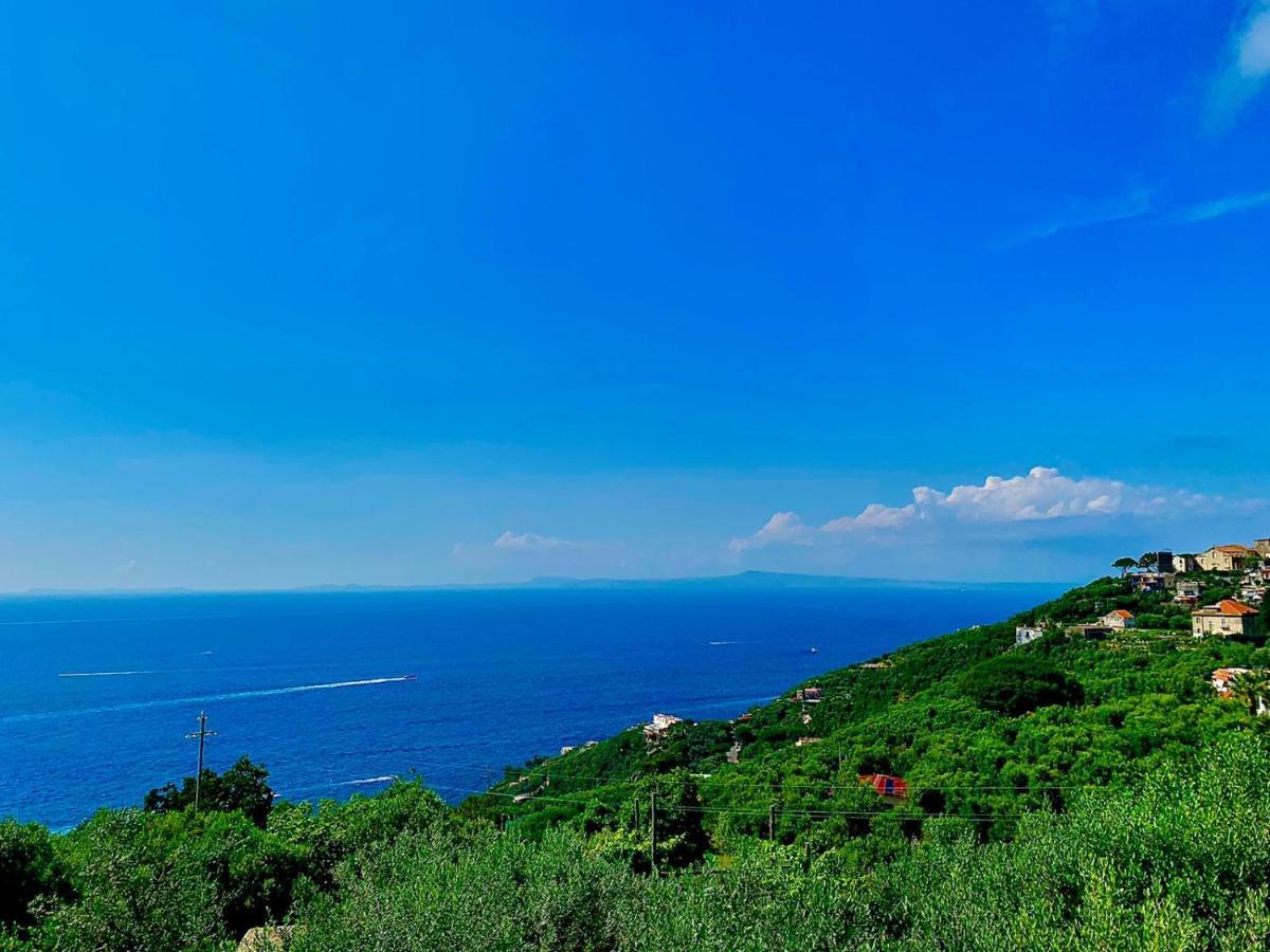Amore Rentals - Casa Tatano Marciano Екстериор снимка