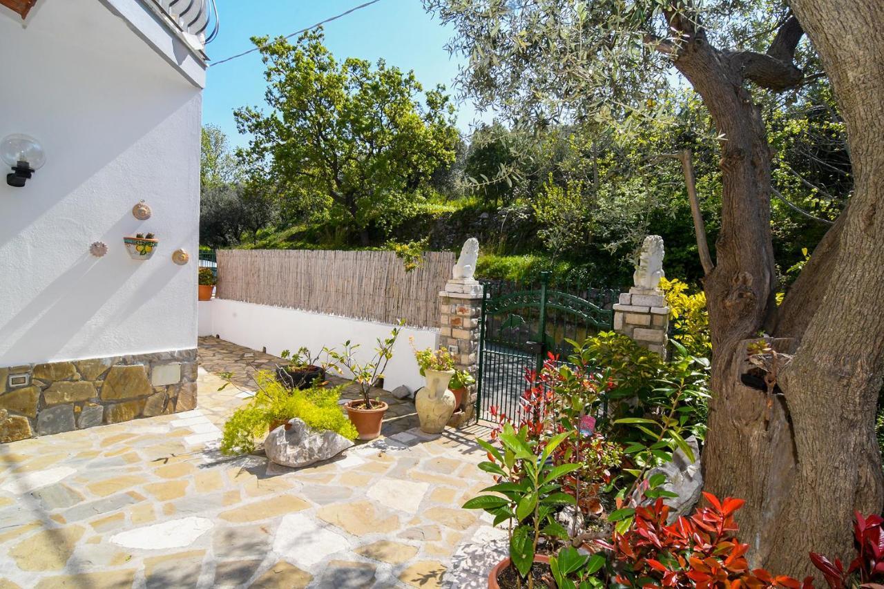 Amore Rentals - Casa Tatano Marciano Екстериор снимка